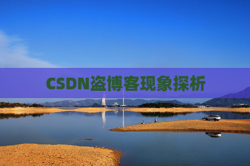 CSDN盗博客现象探析